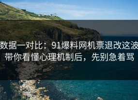 数据一对比：91爆料网机票退改这波带你看懂心理机制后，先别急着骂