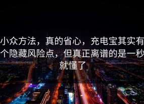 小众方法，真的省心，充电宝其实有个隐藏风险点，但真正离谱的是一秒就懂了