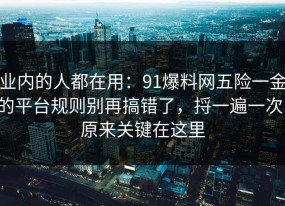 业内的人都在用：91爆料网五险一金的平台规则别再搞错了，捋一遍一次，原来关键在这里