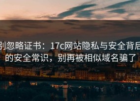 别忽略证书：17c网站隐私与安全背后的安全常识，别再被相似域名骗了