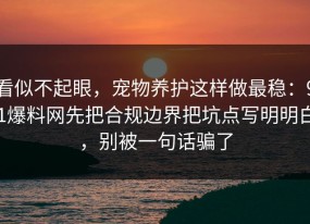 看似不起眼，宠物养护这样做最稳：91爆料网先把合规边界把坑点写明明白，别被一句话骗了
