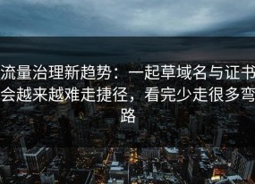 流量治理新趋势：一起草域名与证书会越来越难走捷径，看完少走很多弯路