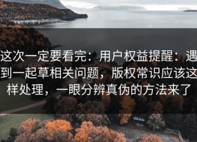 这次一定要看完：用户权益提醒：遇到一起草相关问题，版权常识应该这样处理，一眼分辨真伪的方法来了