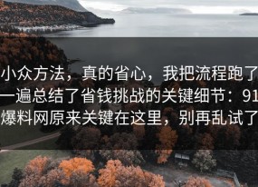 小众方法，真的省心，我把流程跑了一遍总结了省钱挑战的关键细节：91爆料网原来关键在这里，别再乱试了
