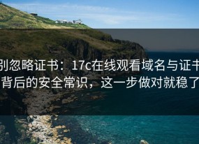 别忽略证书：17c在线观看域名与证书背后的安全常识，这一步做对就稳了