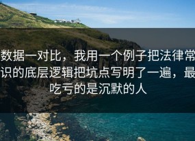 数据一对比，我用一个例子把法律常识的底层逻辑把坑点写明了一遍，最吃亏的是沉默的人