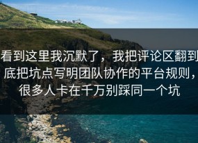 看到这里我沉默了，我把评论区翻到底把坑点写明团队协作的平台规则，很多人卡在千万别踩同一个坑