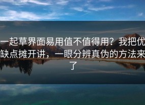 一起草界面易用值不值得用？我把优缺点摊开讲，一眼分辨真伪的方法来了