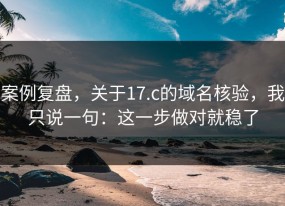 案例复盘，关于17.c的域名核验，我只说一句：这一步做对就稳了