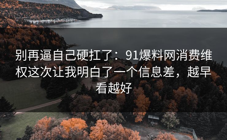别再逼自己硬扛了：91爆料网消费维权这次让我明白了一个信息差，越早看越好