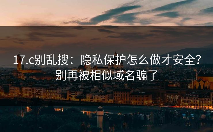 17.c别乱搜：隐私保护怎么做才安全？别再被相似域名骗了