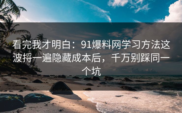 看完我才明白:91爆料网学习方法这波捋一遍隐藏成本后,千万别踩同一个坑 看完我才明白:91爆料网学习方法这波捋一遍隐藏成本后,千万别踩同一个坑